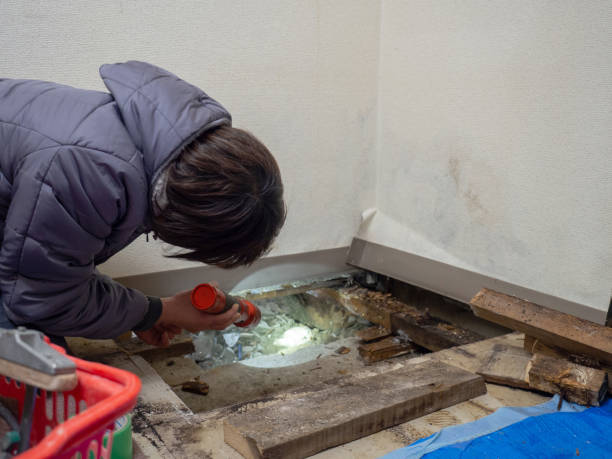 Best Post-Remediation Verification Testing  in Sandy, OR