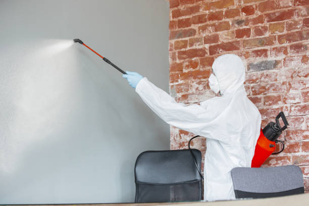 Best Mold Odor Removal Services  in Sandy, OR