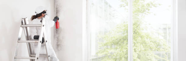 Best Environmental Consulting for Mold Prevention  in Sandy, OR