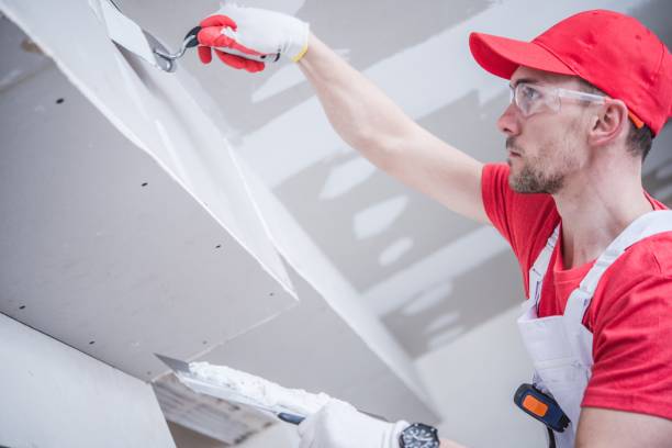 Best Black Mold Removal  in Sandy, OR