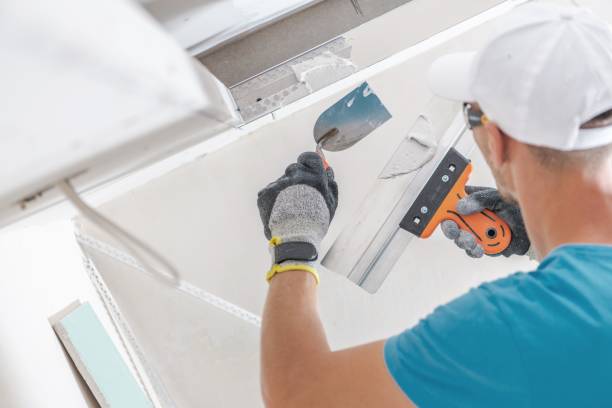 Best Basement Mold Removal  in Sandy, OR
